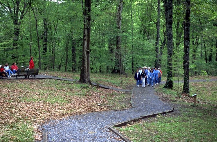 Louisiana State Arboretum, United States